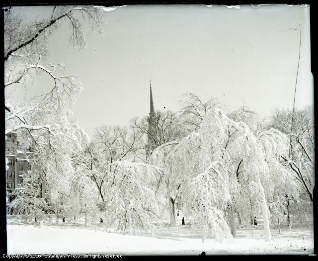 Park St. Steeple Public Garden